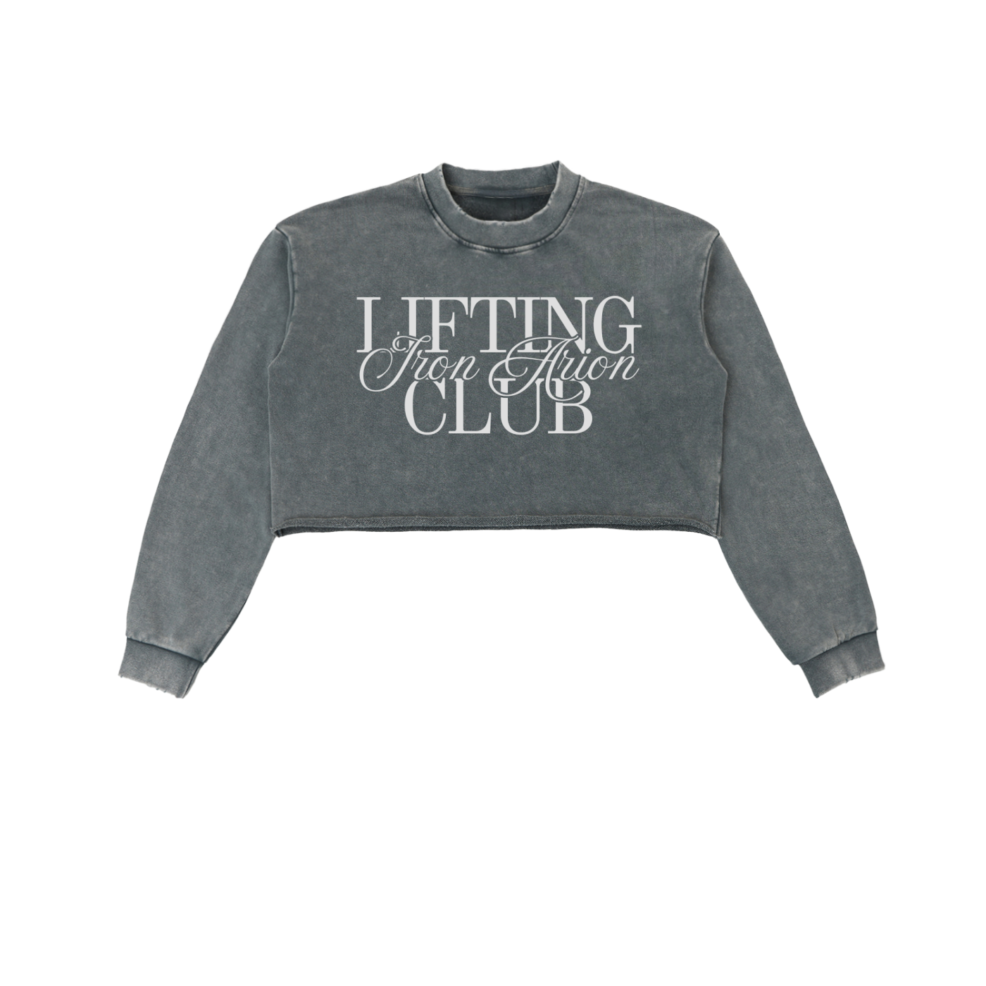 Snow Washed Cropped Sweatshirt