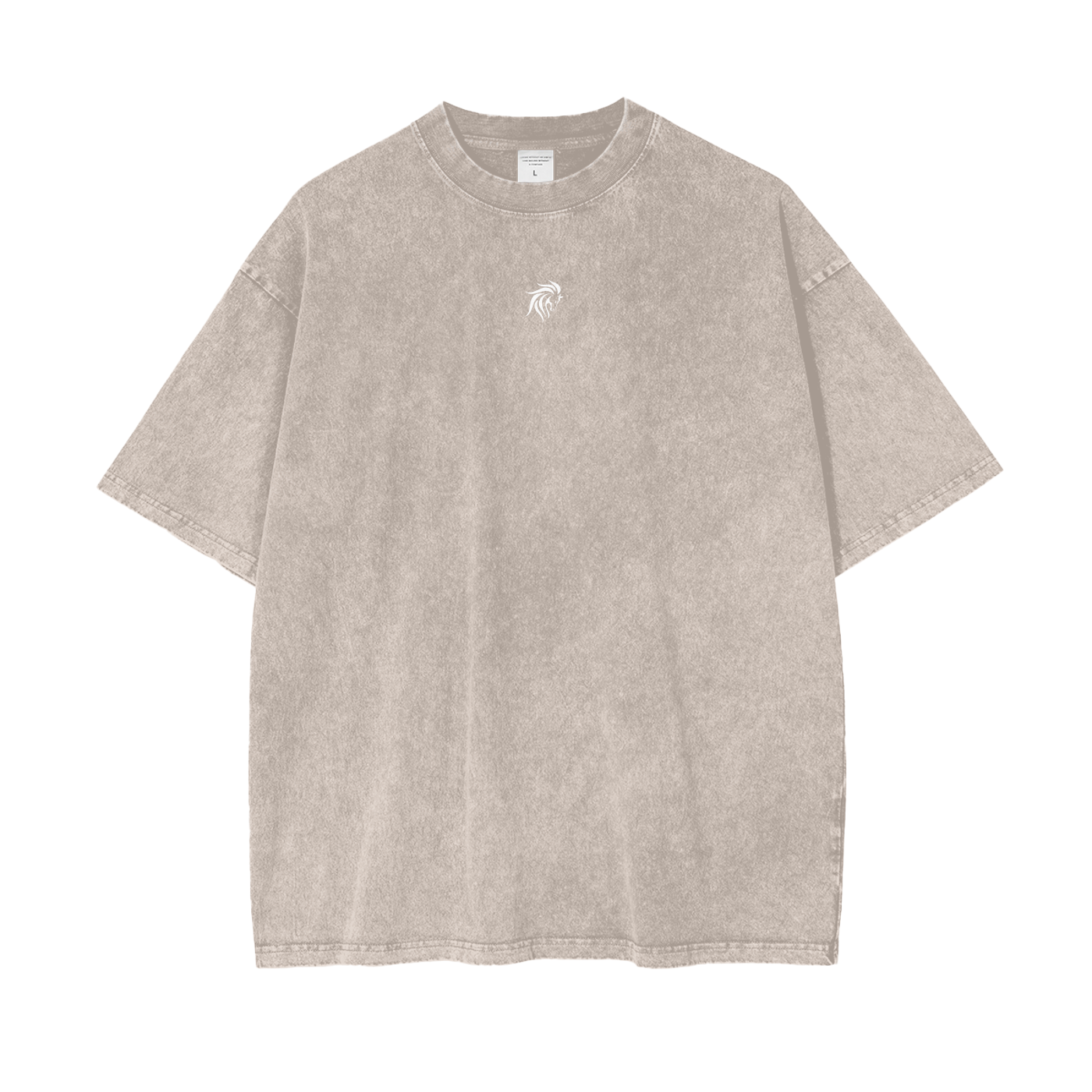 "DIVINE" Oversize Snow Washed T-Shirt