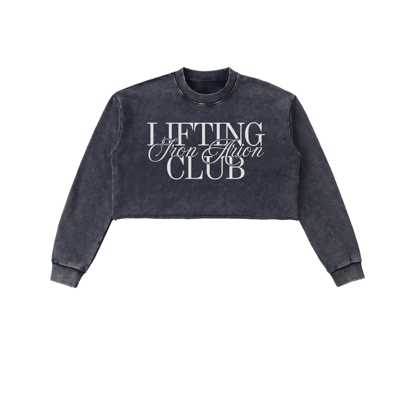 Snow Washed Cropped Sweatshirt