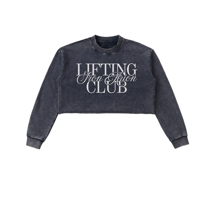 Snow Washed Cropped Sweatshirt