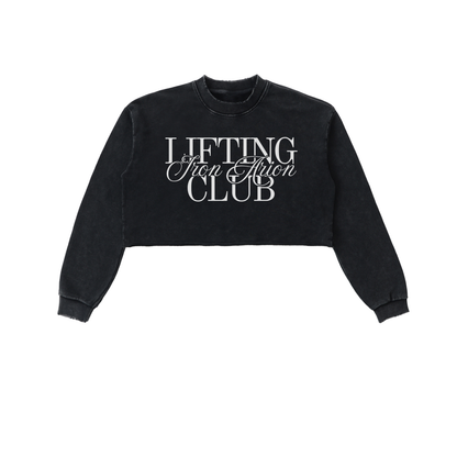 Snow Washed Cropped Sweatshirt