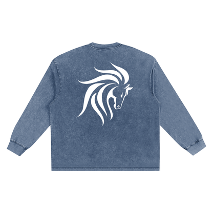 Snow Washed Oversize Long Sleeve T-shirt