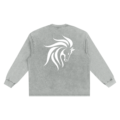 Snow Washed Oversize Long Sleeve T-shirt