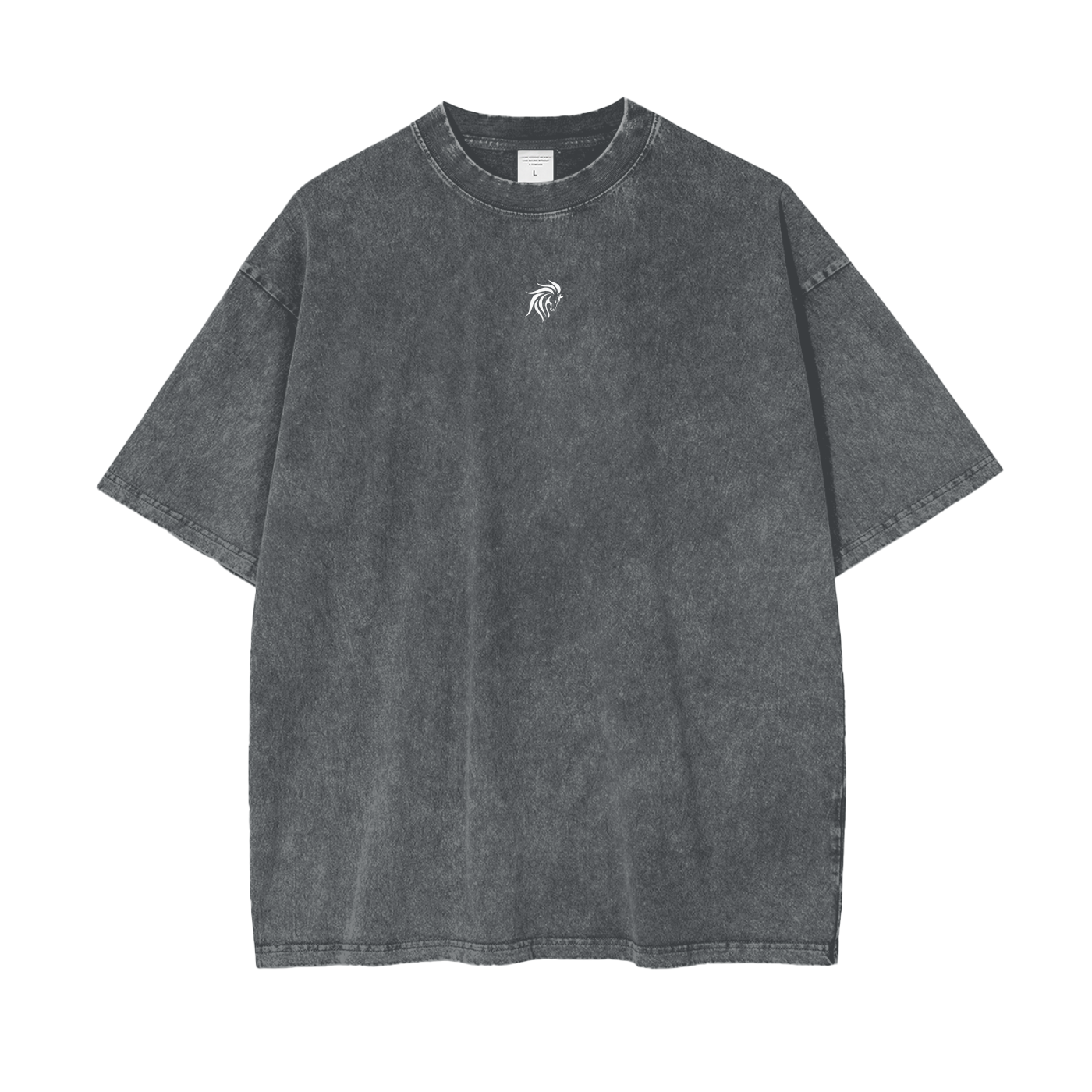 "DIVINE" Oversize Snow Washed T-Shirt