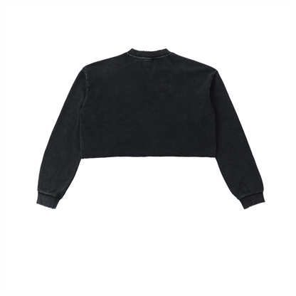 Snow Washed Cropped Sweatshirt