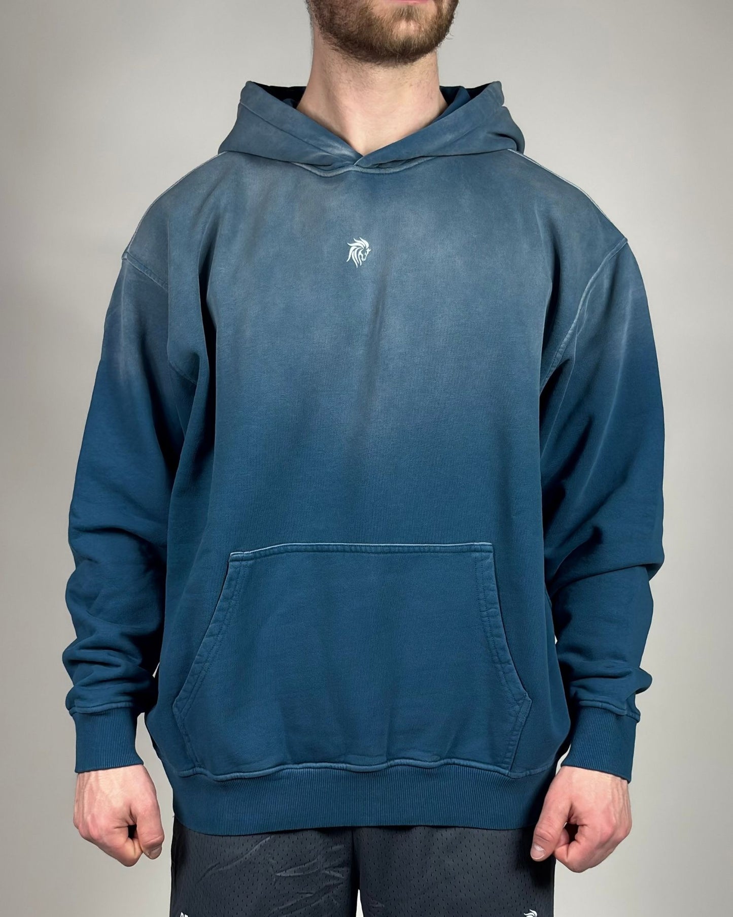 Oversized Sunfade Hoodie