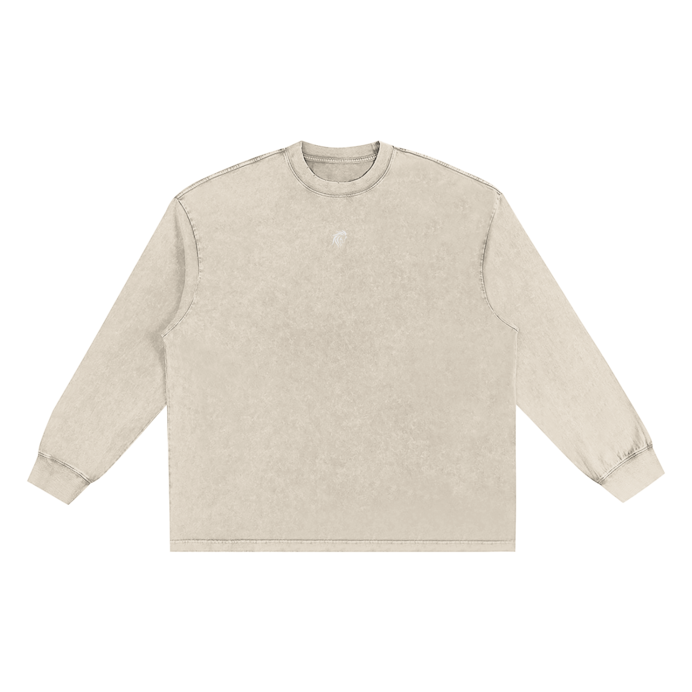 “DIVINE” Snow Washed Oversize Long Sleeve T-shirt