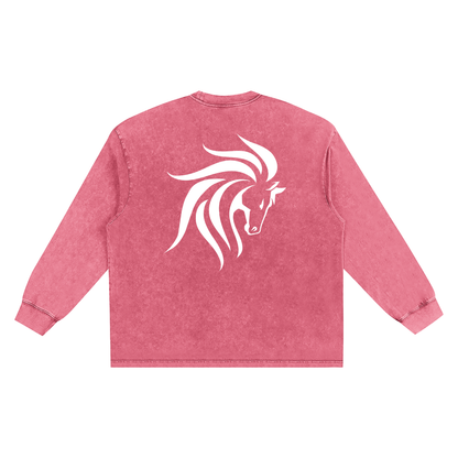Snow Washed Oversize Long Sleeve T-shirt