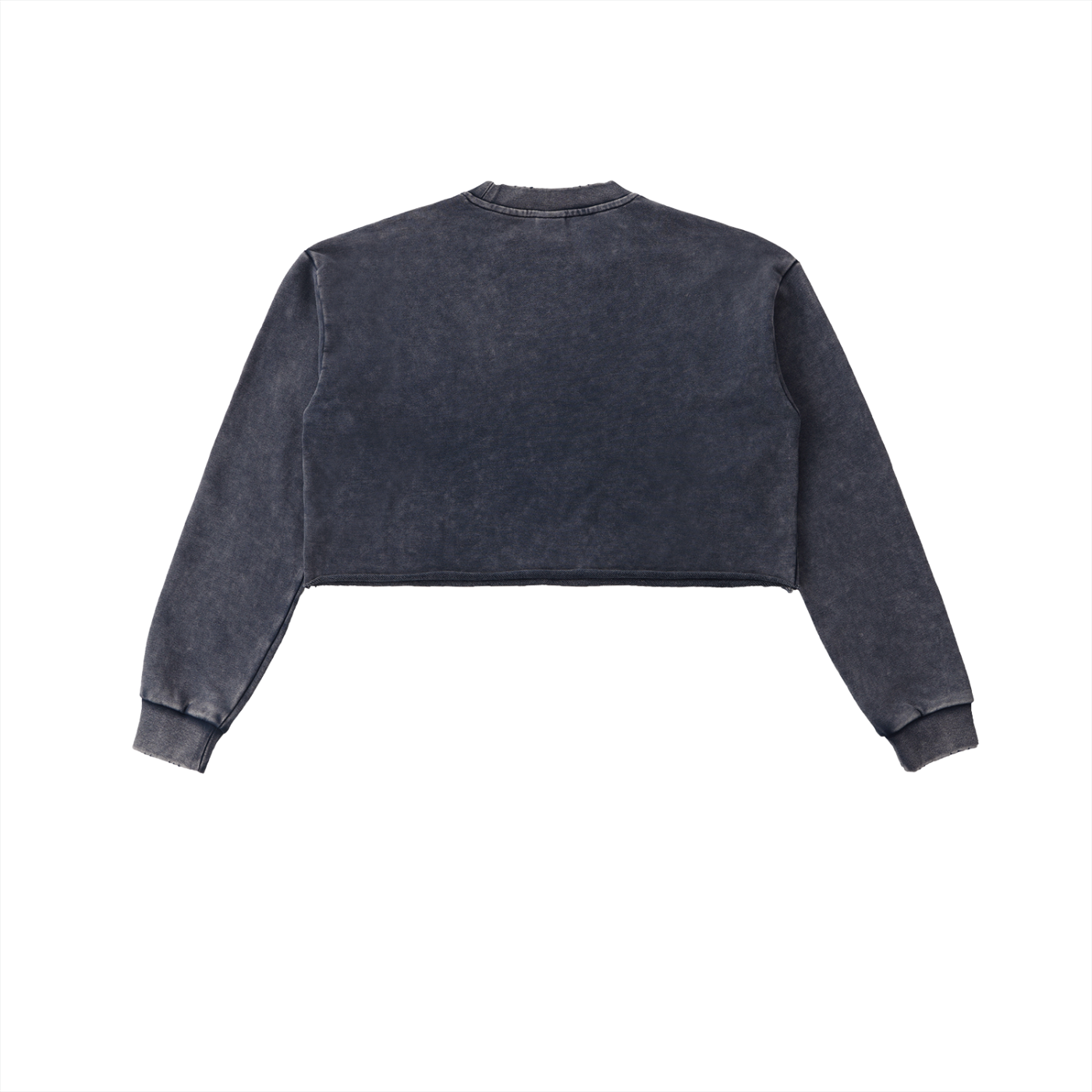 Snow Washed Cropped Sweatshirt