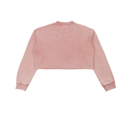 Snow Washed Cropped Sweatshirt