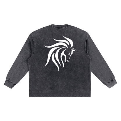 Snow Washed Oversize Long Sleeve T-shirt