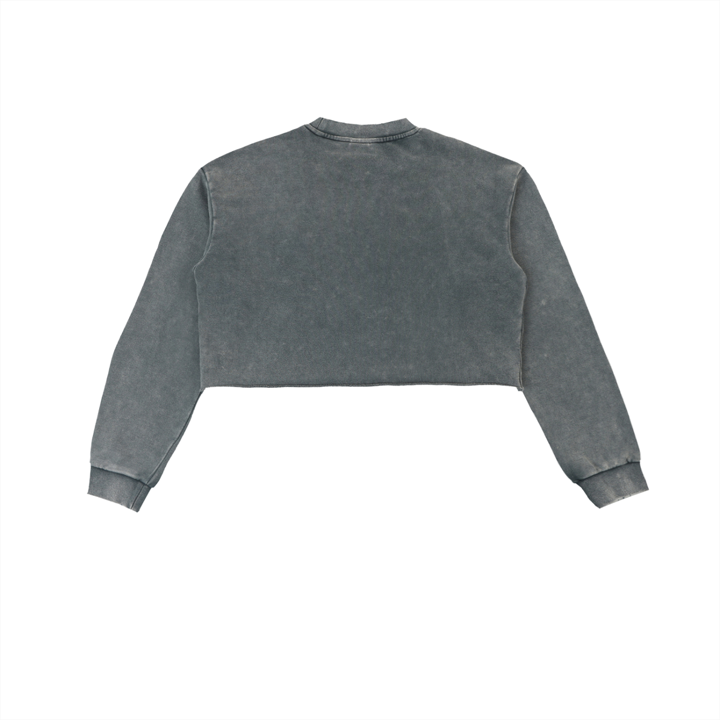 Snow Washed Cropped Sweatshirt