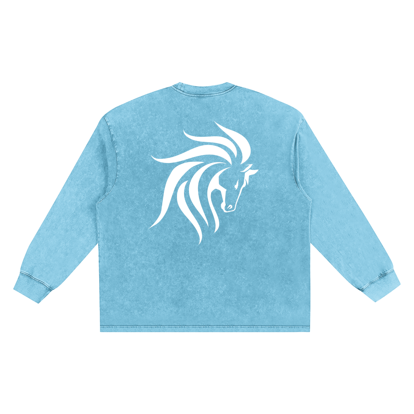 Snow Washed Oversize Long Sleeve T-shirt