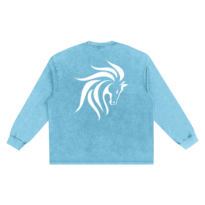 Snow Washed Oversize Long Sleeve T-shirt